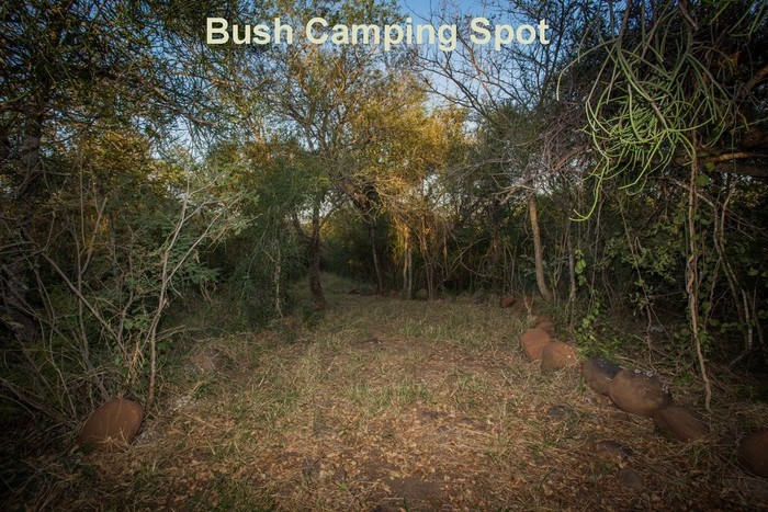 [campsite]