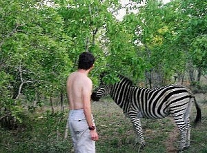 [zebra]