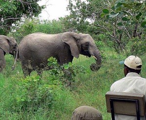[game drive]